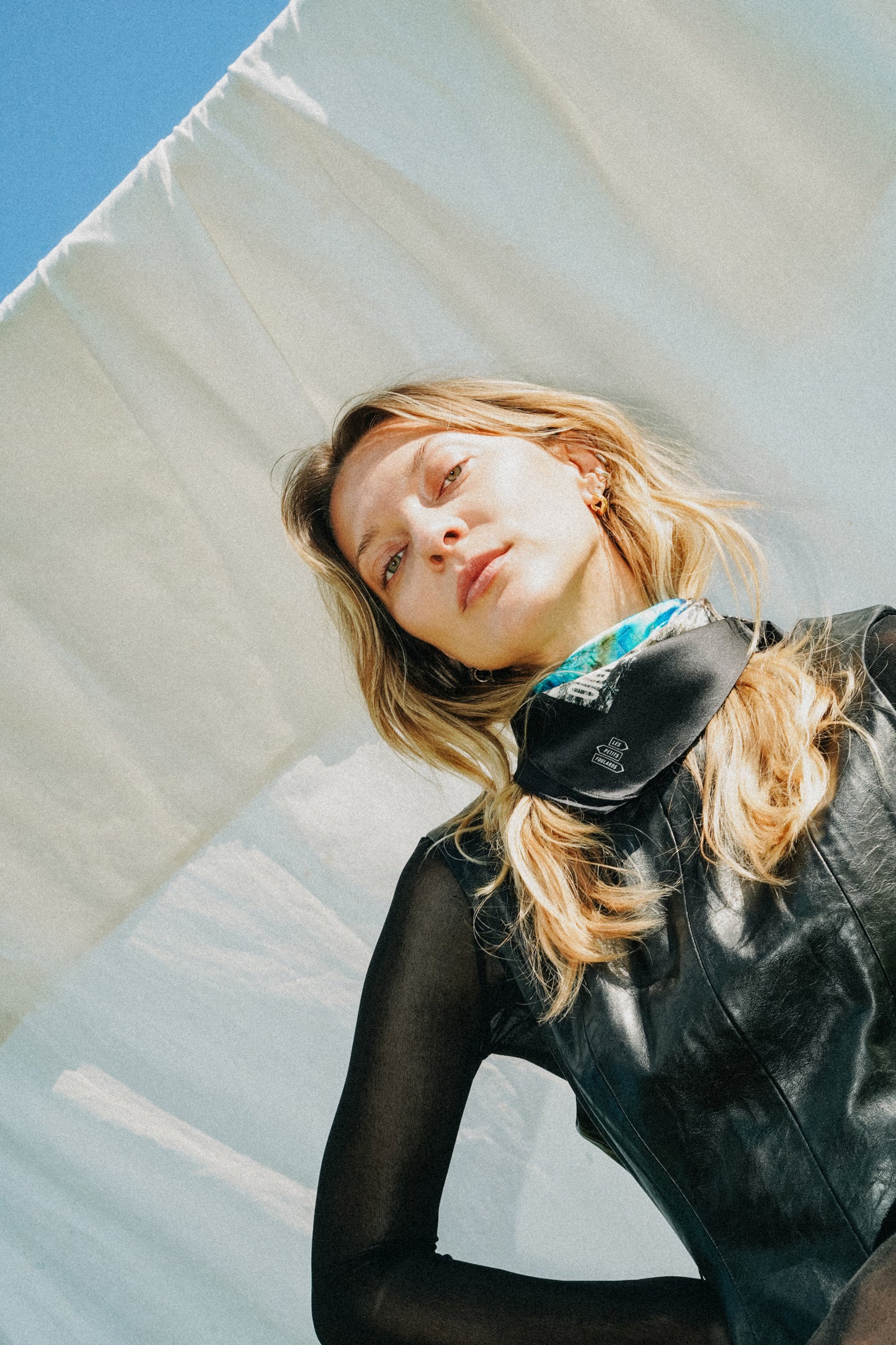 Foulard Scorpio (Scorpion) - Labradorite