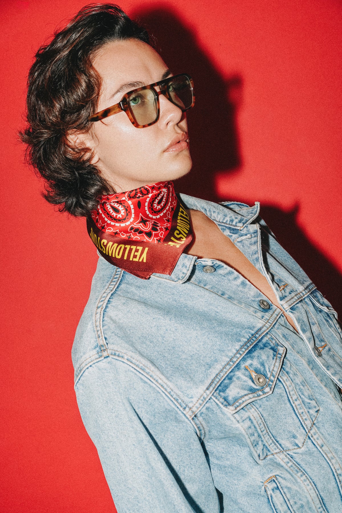 Chambord scarf